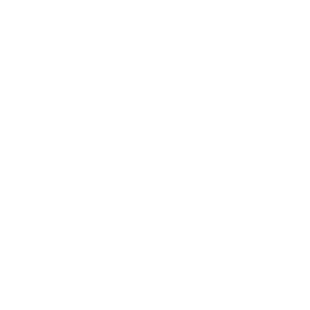 Kerítés és támfal tisztítása